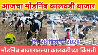 आजचा मोडनिंब कालवडी बाजार.दि.28 डिसेंबर 2024