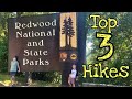 Best HIKING TRAILS Redwood National Park with KIDS!!!