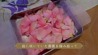 薔薇蒸留632