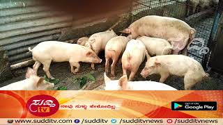 ಸಮಗ್ರ ಕೃಷಿ - Samagra Krushi - 26th November 2017 | ಸುದ್ದಿ ಟಿವಿ