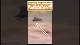 #arutperunjothi #vallalar #agaval #viral ##motivationalvideo @Thunpuurael