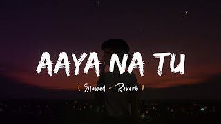 Aaya Na Tu (Slowed + Reverb) Arjun Kanungo, Momina Mustehsan