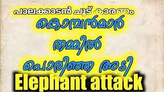 ആനകൾ തമ്മിൽ കൊമ്പ് കോർക്കുന്നു | Puthur dhevisuthan Attack | Elephant Attack | Palakkad |