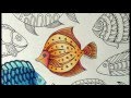 Lost Ocean | How to color a fish (part 1) | Oceano Perdido