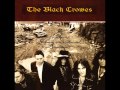 The Black Crowes - Sometimes Salvation