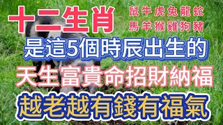 最好命12生肖！原来都是这5个时辰出生的！天生招財納福，命中携福带财,是家里的“招财福星”财源滚滚挡不住！越老越有錢有福！#風水 #佛教 #分享 #推薦 #涨知识 #運勢