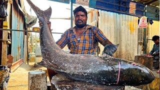 KASIMEDU 🔥 MR UMESH | 45 KG BIGG SEA VIRAL FISH CUTTING VIDEO | IN KASIMEDU | FF CUTTING 🔪