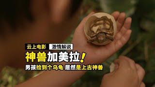 男孩捡到一颗蛋，居然孵化出神兽，奇幻电影《勇者神龟》