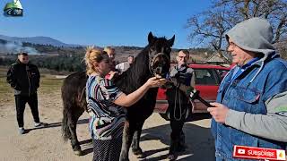 ZA DAN SAM ZARADIO 2400 MARAKA BRANJEM GLJIVA