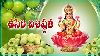 Interesting \u0026 Unknown Facts Of Usiri Chettu | Significance of Usiri Chettu | Usiri | Kailesh Bhakthi