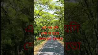 সুখের স্মৃতি 🌹#viral