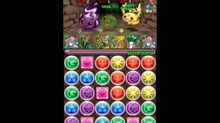 【パズドラ】ポリン塔 ポリンと！中級