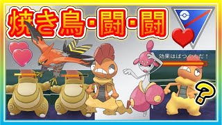 最強パの天敵！ファイアロー・闘・闘のパーティーは本当に強いのか使ってみた！【ポケモンGO】【シーズン11】【ラブラブカップ】