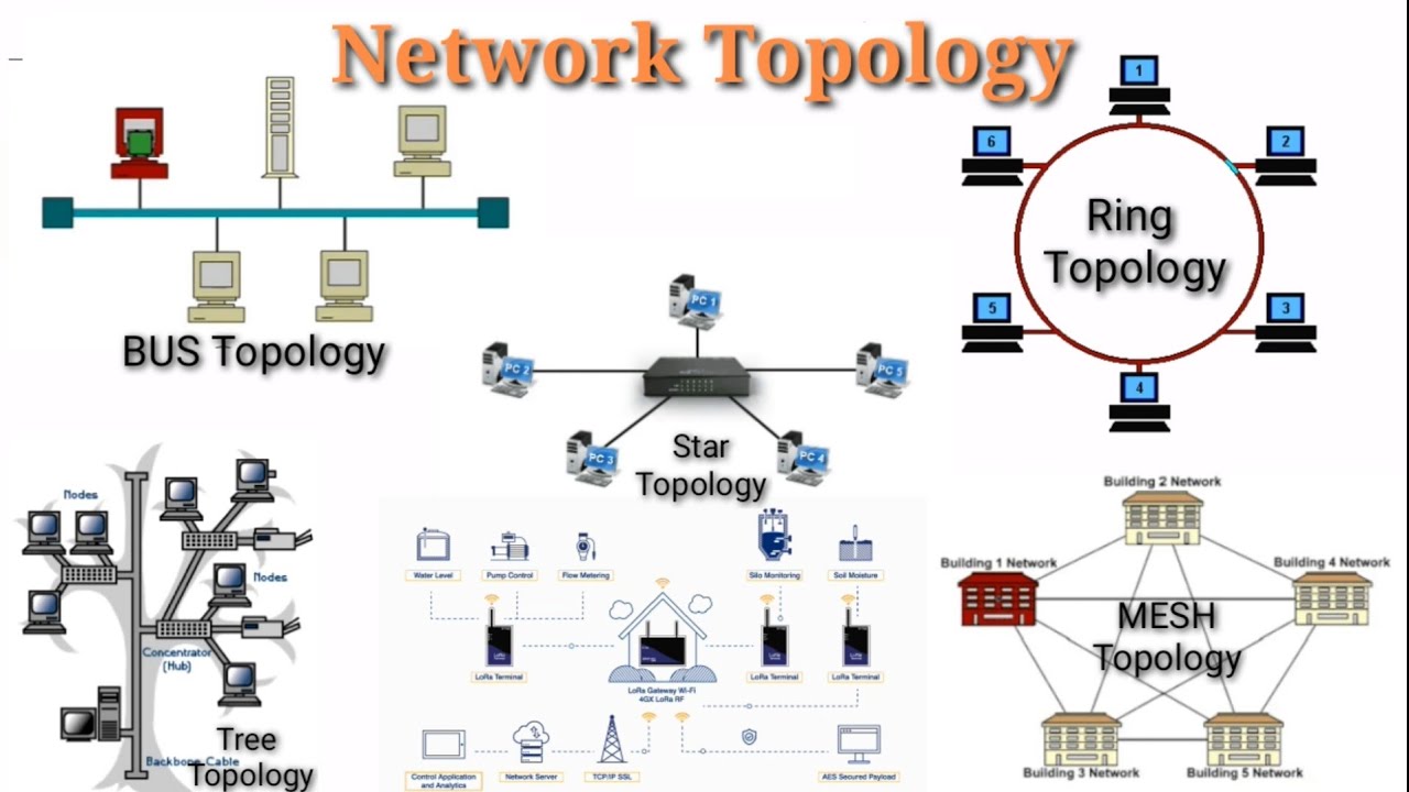 Network Topology? And Types Of Network Topology - YouTube