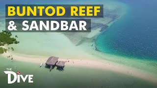 MASBATE: Buntod Reef Marine Sanctuary and Sandbar | THE DIVE