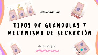 Glándulas I / Clasificación funcional de las glándulas /  Histología de Ross