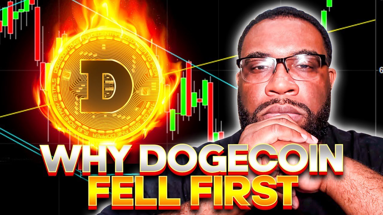 They Didn't Expect Dogecoin | The Anomaly | Dogecoin News