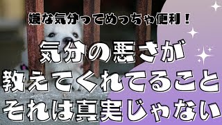 057【HAPPYちゃん】嫌な気分ってめっちゃ便利！気分の悪さが教えてくれてること。真実じゃないことを真実と思い込んでますよ