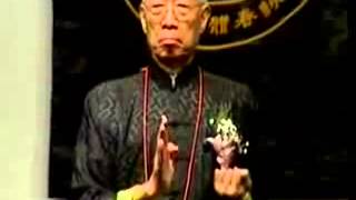 Chu Shong Tin - Sil Lim Tao