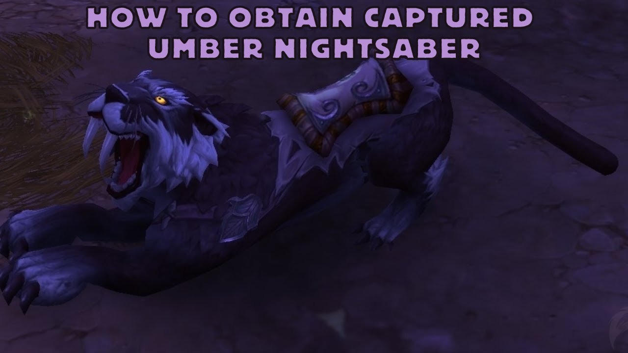 How To Obtain The Mount Captured Umber Nightsaber Alliance Youtube