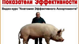 Ключевые Показатели управления ассортиментной матрицей и запасами на складах - Практикум 3