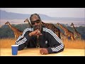 plizzanet earth with snoop dogg great white shark