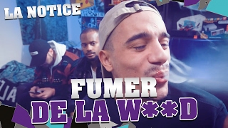 LA NOTICE - FUMER DE LA W**D