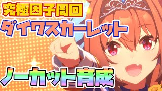 【ウマ娘】究極因子周回ダイワスカーレット育成ノーカット。最低限のレース出走周回。【プリティーダービー/URAファイナルズ/育成/因子厳選/因子周回】