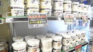 台風が接近中にクワガタ\u0026カブトムシ専門店　フジコンさんでのんびりお買い物してきました！ Beetle or stag beetle videos