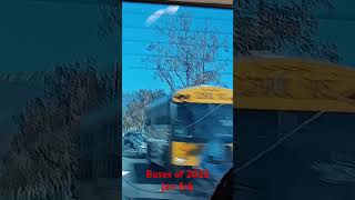 #119 Buses of 2025