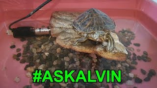 #ASKALVIN - CHIEDILO AD ALVIN