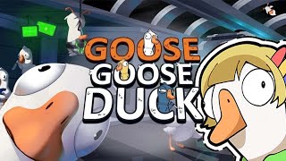 Goose Goose Duckやる！！とりっぴぃ視点