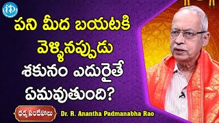 పని మీద బయటకి వెళ్ళినప్పుడు శకునం ఎదురైతే ఏమవుతుంది? - Dr R Anantha PadmanabhaRao | Dharma Sandehalu