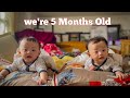 Family vlog EP 1 | Twins 5 Months Vlog | #northeastindia #familyvlog