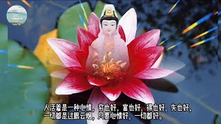 Buddhist Song 佛歌：心有莲花与佛结缘  原唱：孙晓磊 #Looise Music#