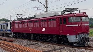 【秋田入場配給】JR常磐線◆E531系K469編成◆2023.06.06