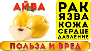 АЙВА - ПОЛЬЗА И ВРЕД (ЭТОТ ПЛОД \