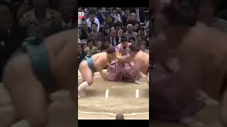 Тамаваси VS Кисэнасато Хару Басё 2017 Сумо #japan #sumo #сумо #sport #япония #mma #ufc #wwe #борьба