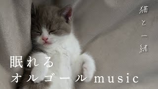 眠りのためのオルゴールBGM 猫と一緒に寝落ちします　リラックス、癒しのためのヒーリングミュージック　不眠症対策・睡眠導入