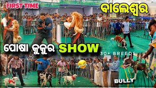 ପ୍ରଥମ ଥର Balasore ରେ Dog Show 🔥 / 30+ Dog Breed 😲 / Baleswar