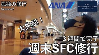 【週末SFC修行】【9レグ】羽田空港-那覇空港(ANA993/BOEING 787-8)