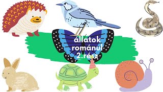 állatok románul 2 rész