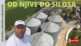 OD NJIVE DO SILOSA , FROM THE FIELD TO THE GRAIN TANK