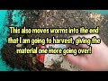 top reasons why i don t put a lid on my worm bin