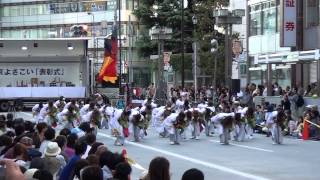 東京よさこい2013 ～ 所沢風炎祇神伝～雅～ (1)