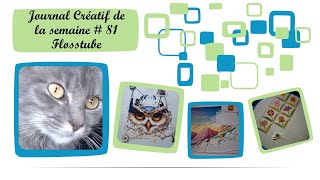 JOURNAL CRÉATIF de la semaine FLOSSTUBE # 81 😍 Broderie 😍 Points comptés 😍 Tricot et autres 😍