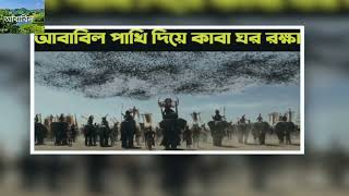 রহস্যময় পাখি আবাবিল | শীতকালে চাঁদে চলে যায়!!  | জেনে নিন আবাবিল পাখির ইতিহাস