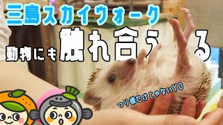 【吊橋だけじゃない！子供から大人まで1日楽しめる】三島スカイウォーク