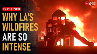 Los Angeles Wildfires: Why Are Hollywood Hills Burning? ‘Santa Ana’ Winds Explained