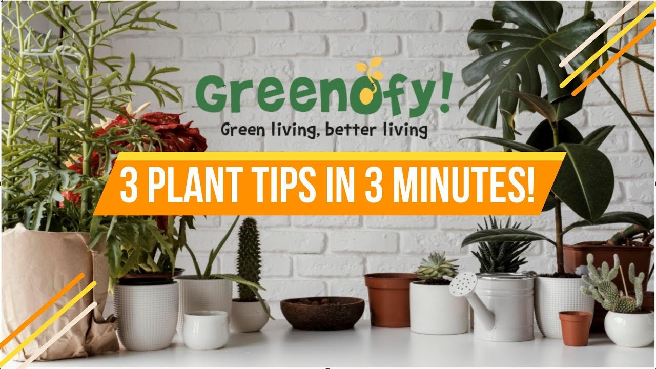 Smart Plants Tips Youtube